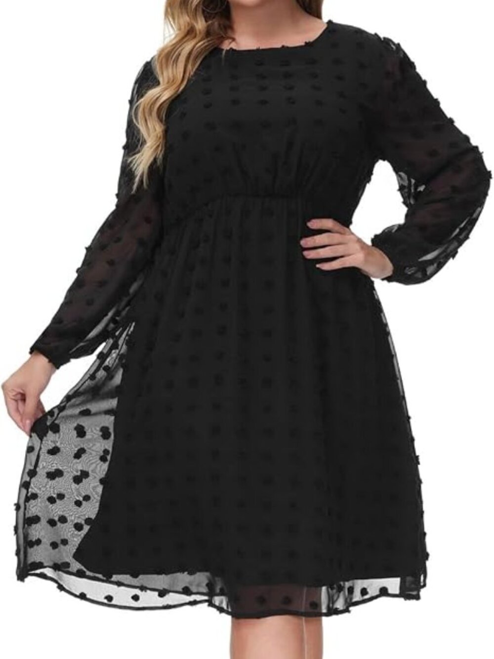 Hanna Nikole ✨ Plus Size Swiss Dot Chiffon Dress 20W Black